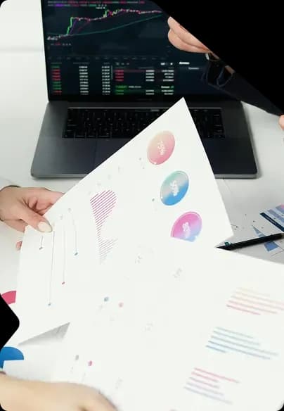 investor overview