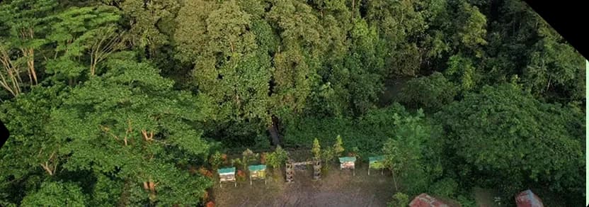 tbs-climate-plan-header